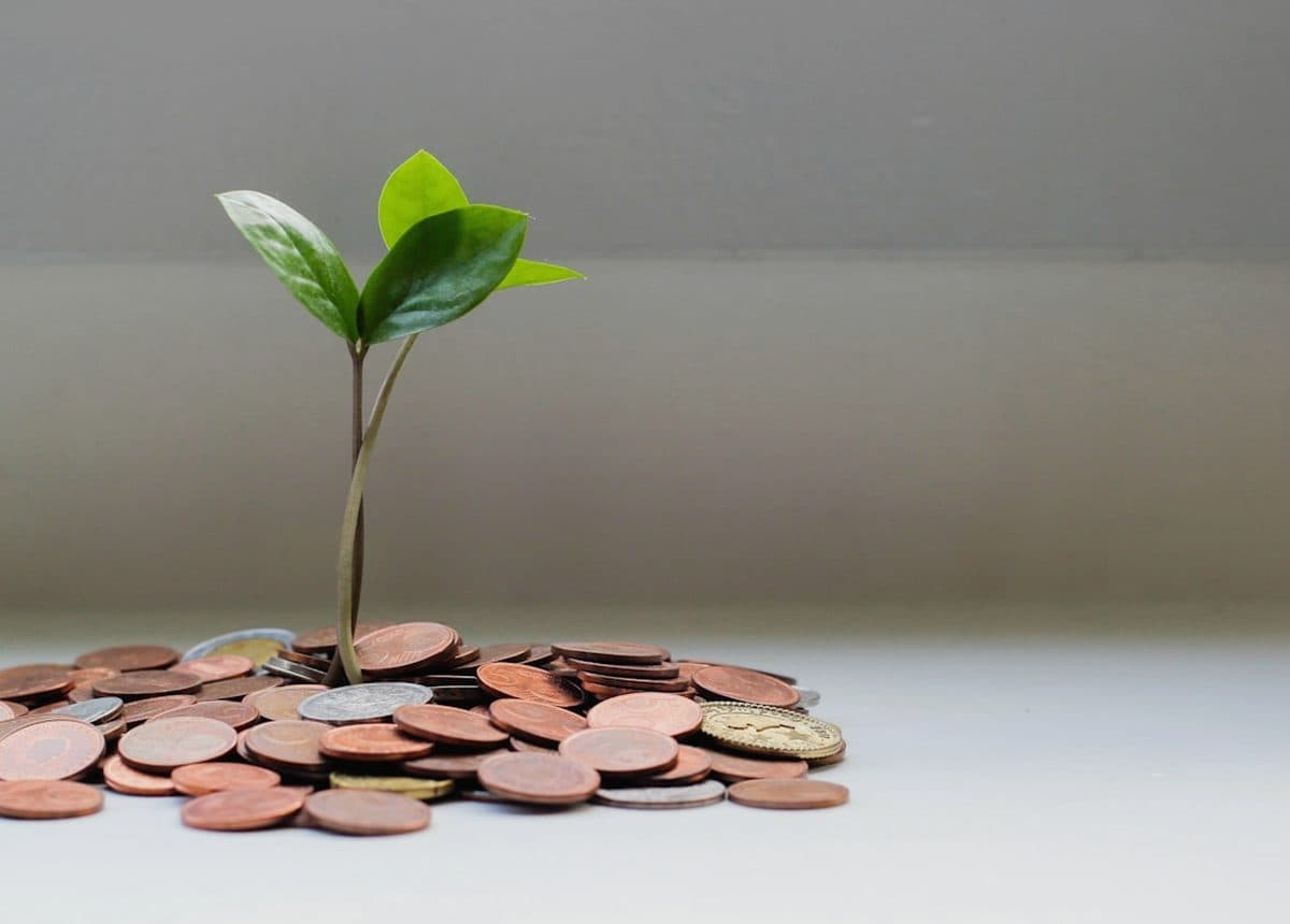 Ценные бумаги для кредитования Банка России: актуальный список