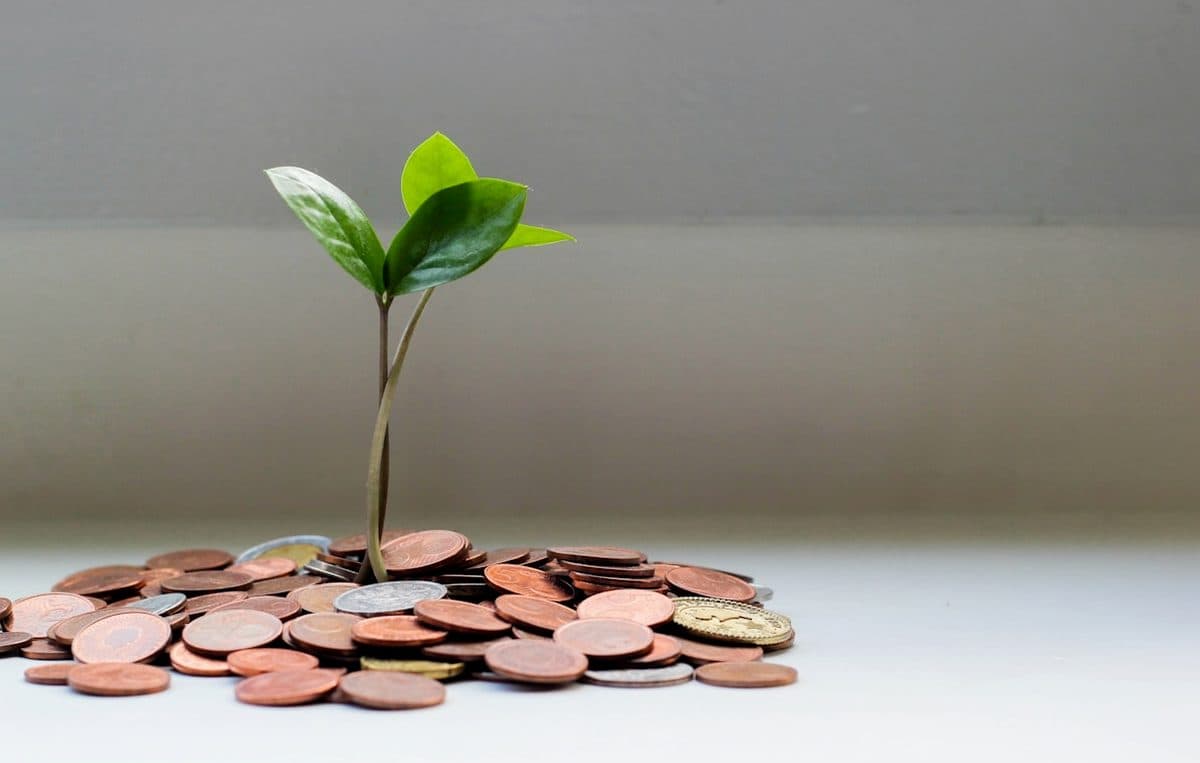 Динамика процентных ставок: тенденции банковского сектора