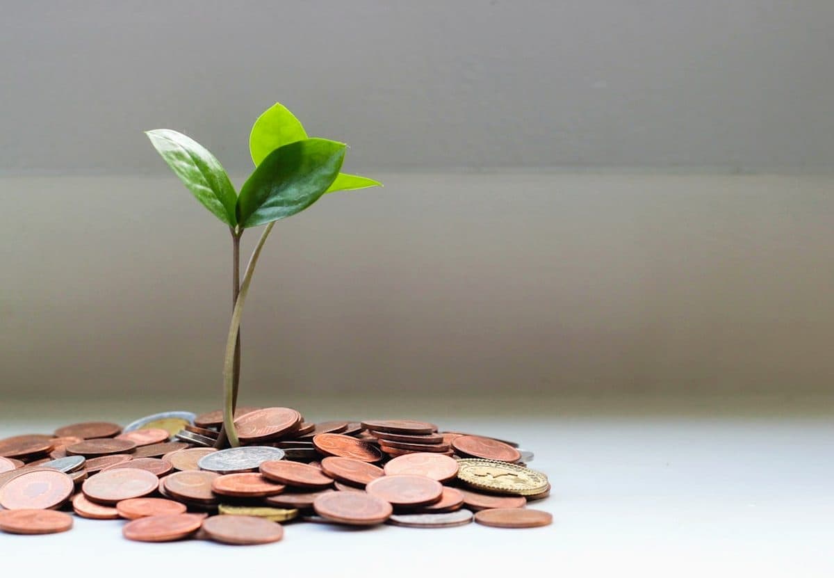 Ценные бумаги для кредитов Банка России: что важно знать