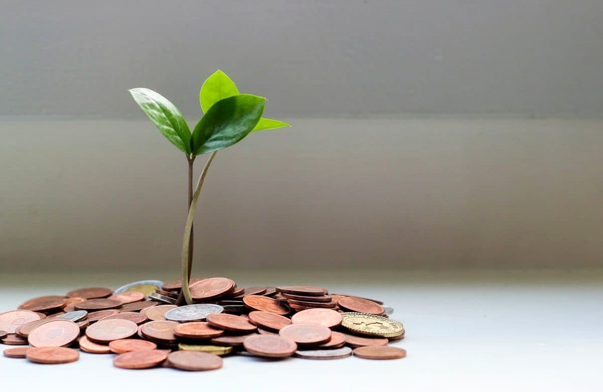 Новое указание ЦБ: изменения для микрофинансовых организаций