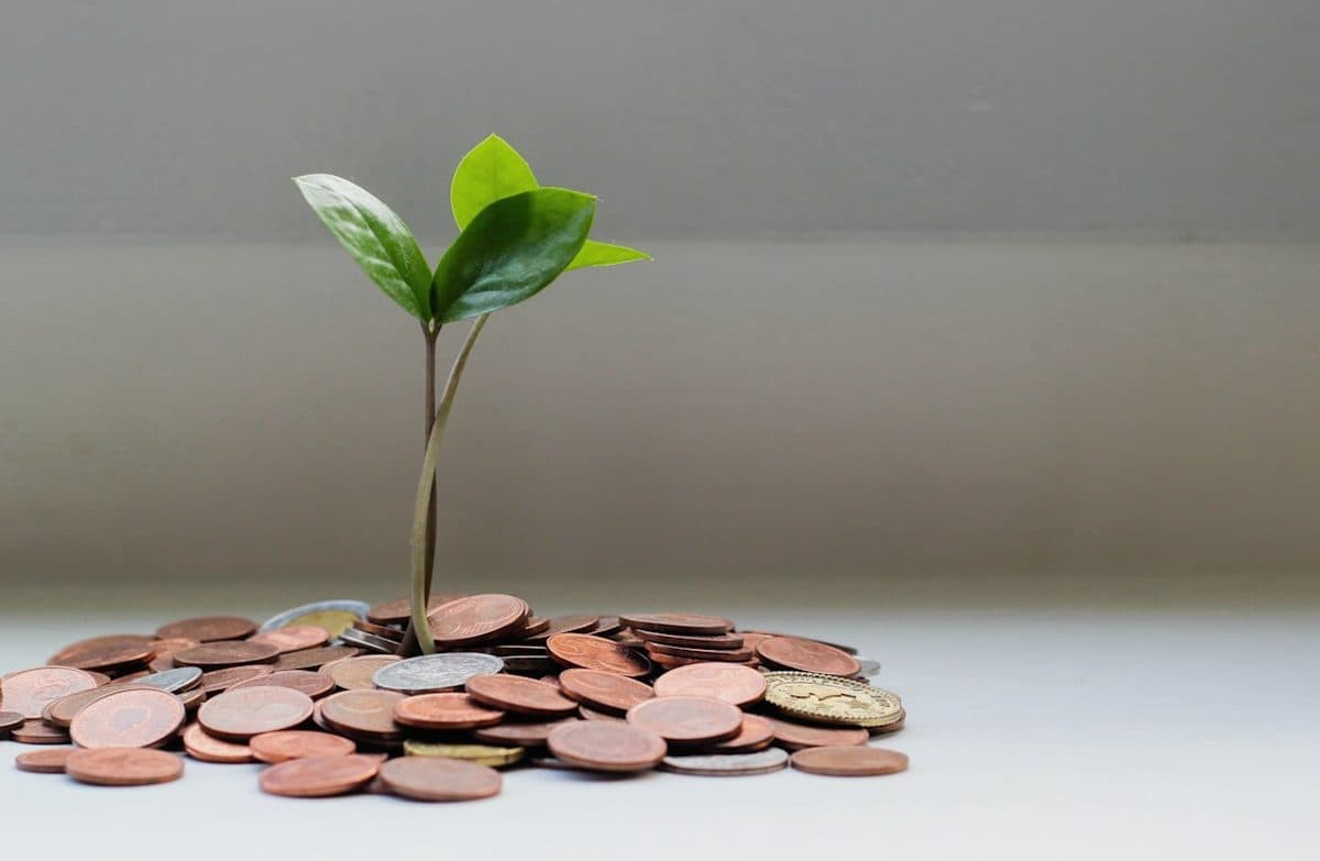 Новое указание ЦБ: что изменится в работе микрофинансовых организаций